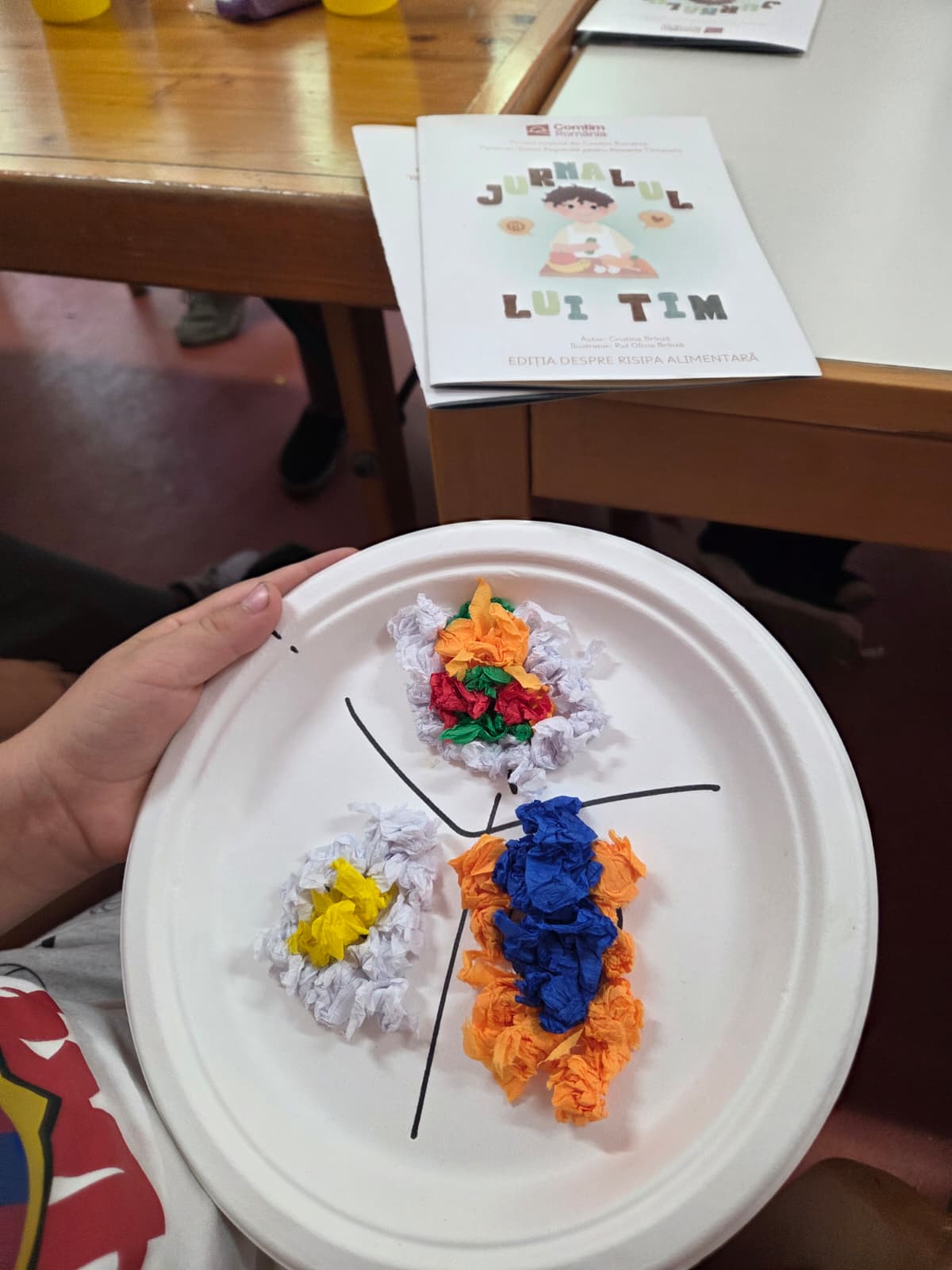 Farfurie creativă alături de exemplarul Jurnalul lui Tim
